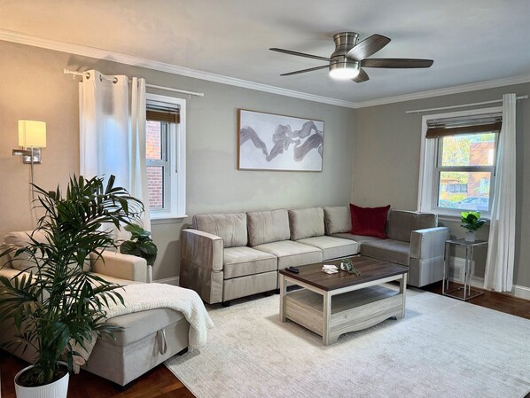 Smart TV, fireplace, books, offices