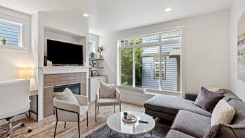 Smart TV, fireplace, books, computer monitors