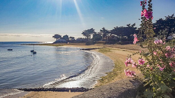 Een strand met kalm water, een boot en een rij bomen in de verte.