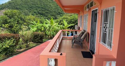 Charming 2-bedroom bed & breakfast in fabulous St. George's with AC, WiFi,pets