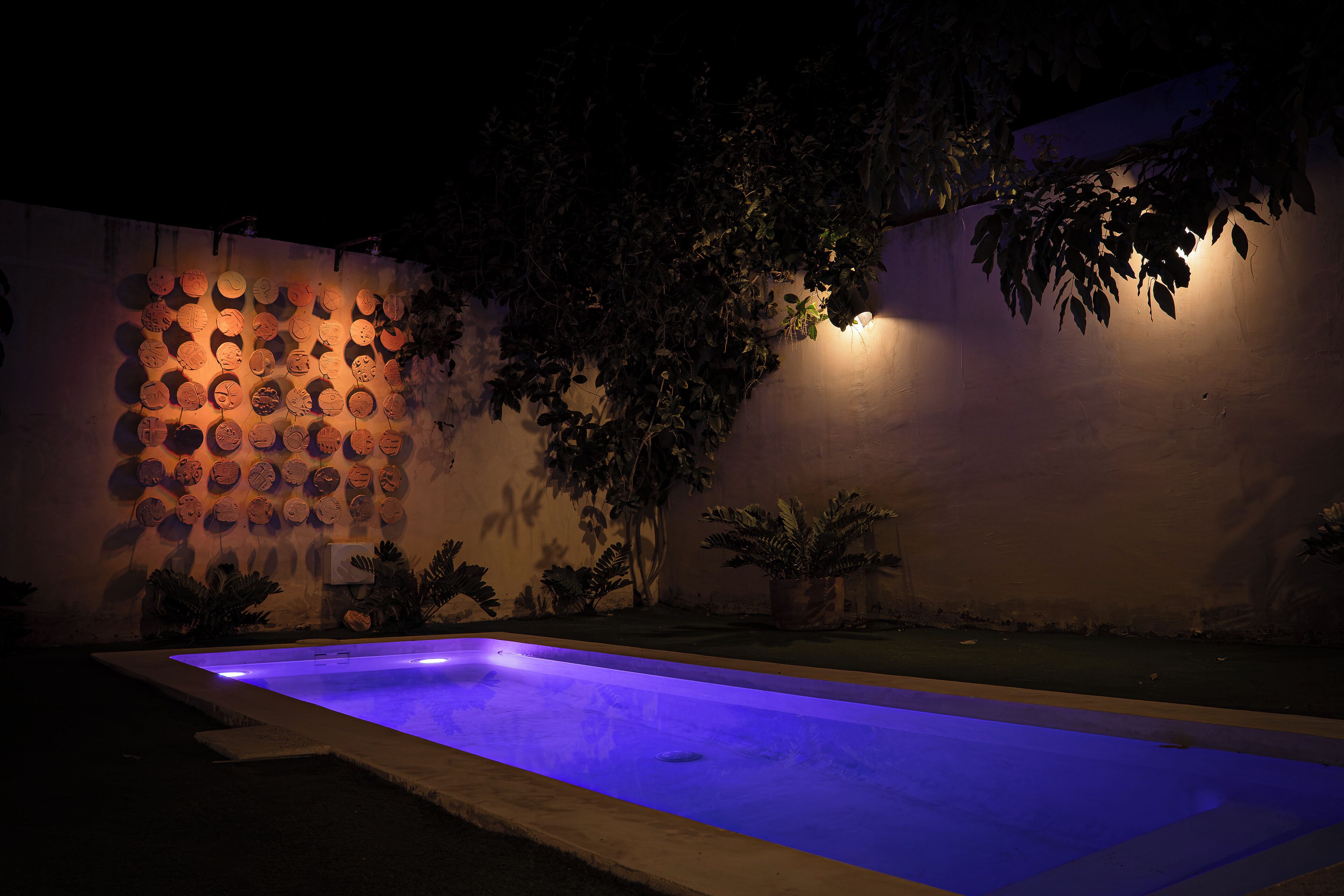 A swimming pool with a blue-lit edge, surrounded by a wall decorated with circular patterns and plants.