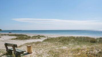 Playa en los alrededores y pesca
