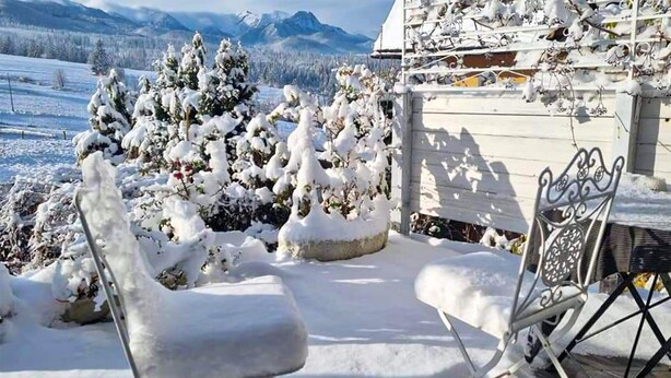 A snow-covered outdoor seating area with chairs and a table, a snow-covered tree, and a mountain view in the background. - Nice apartment in Murzasichle with sauna (Murzasichle)