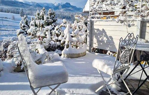 Pet friendly apartment in Murzasichle