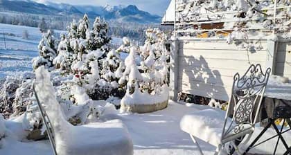 Pet friendly apartment in Murzasichle