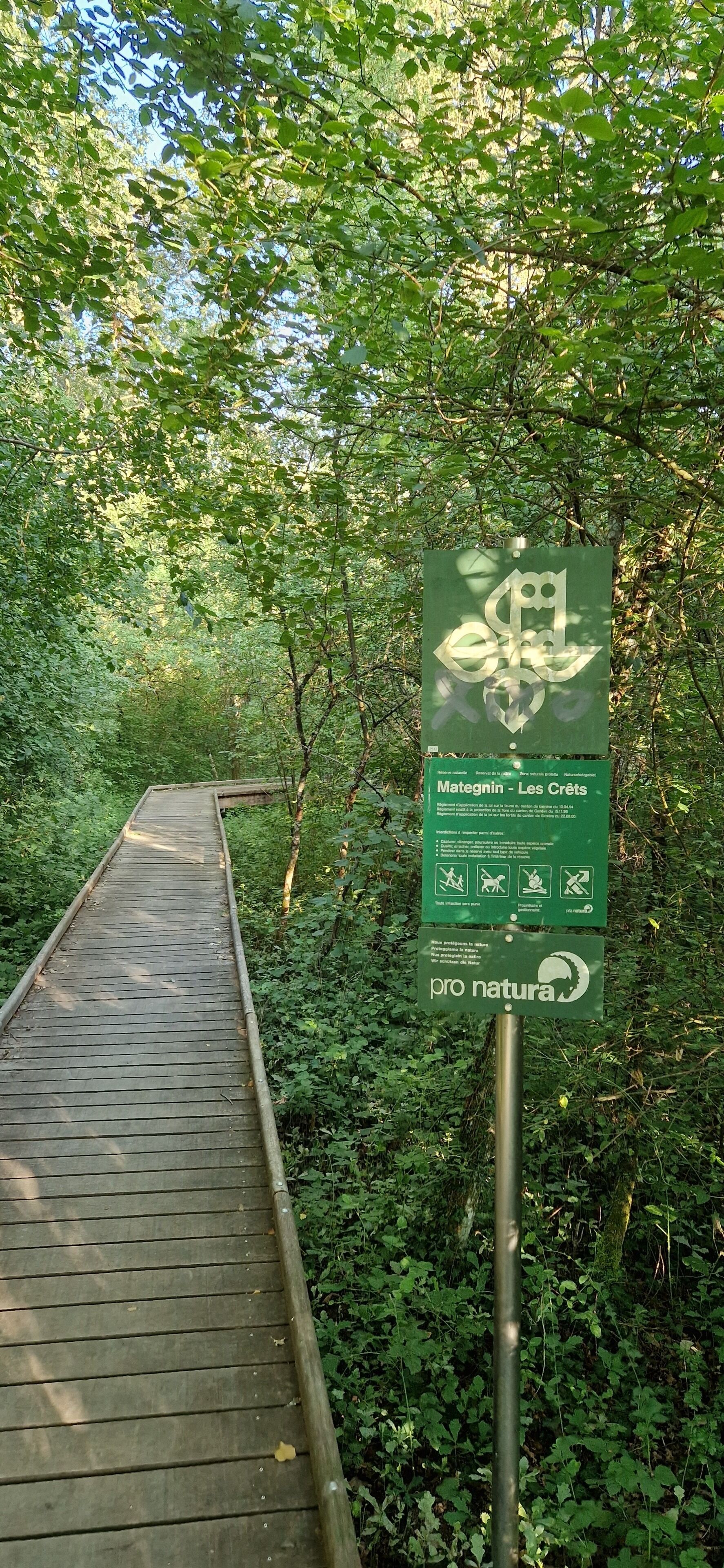 Enceinte de l’hébergement