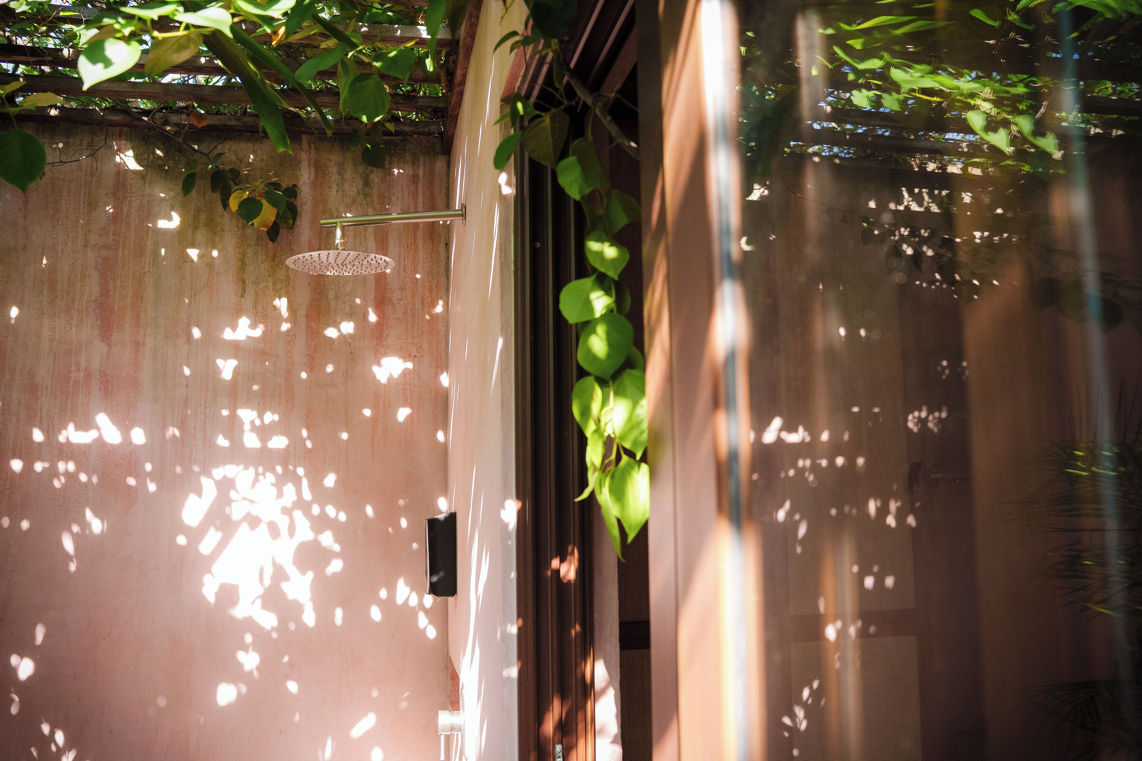 Secadora de cabello, toallas, jabón, shampoo 