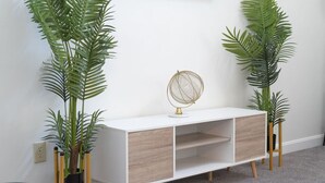 A white console table with a gold decorative item, flanked by two tall potted plants with long green leaves. - Charming Retreat with Private Patio - Cozy and Convenient Escape (Indianapolis)