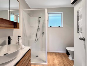 Un baño moderno con ducha de vidrio, un lavamanos blanco y un inodoro.