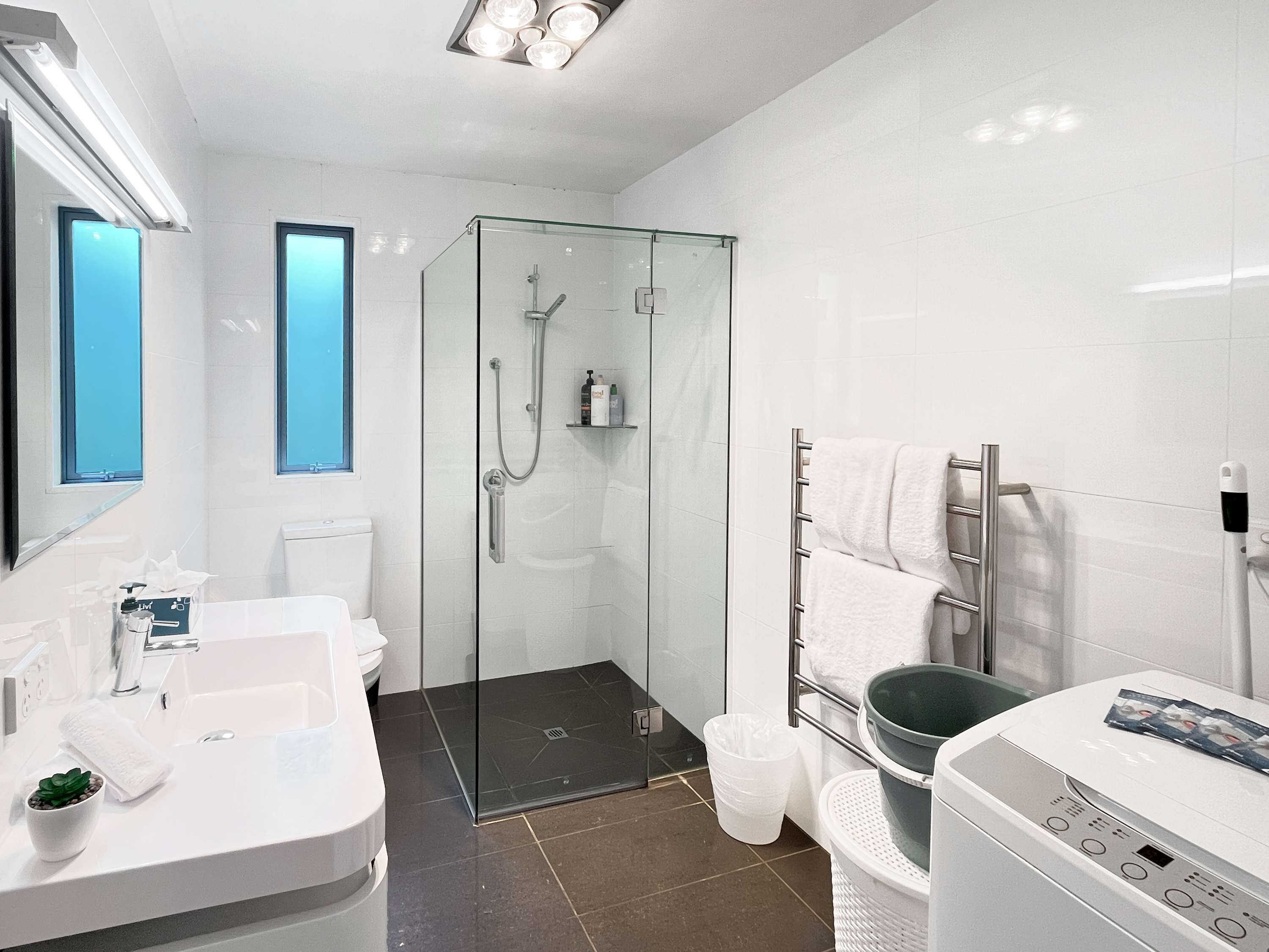 Shower, hair dryer, towels