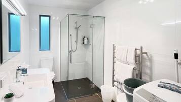 Shower, hair dryer, towels