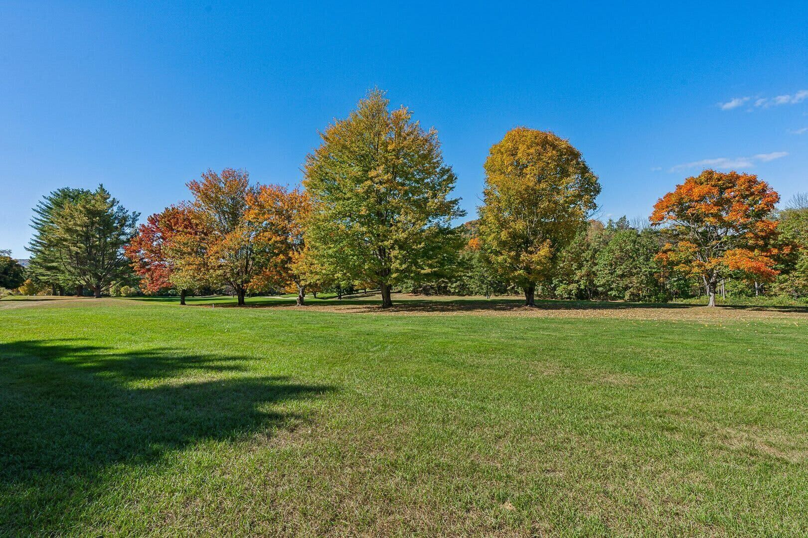 A grassy park with trees displaying autumn foliage.