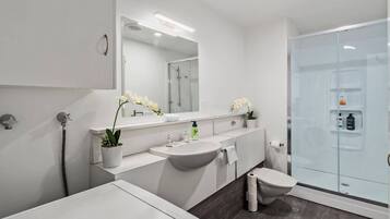 Shower, hair dryer, towels