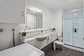 Shower, hair dryer, towels