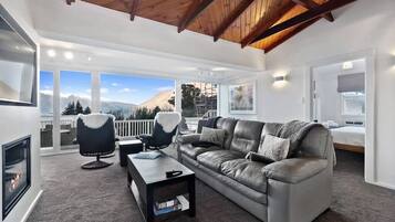 TV, fireplace, books