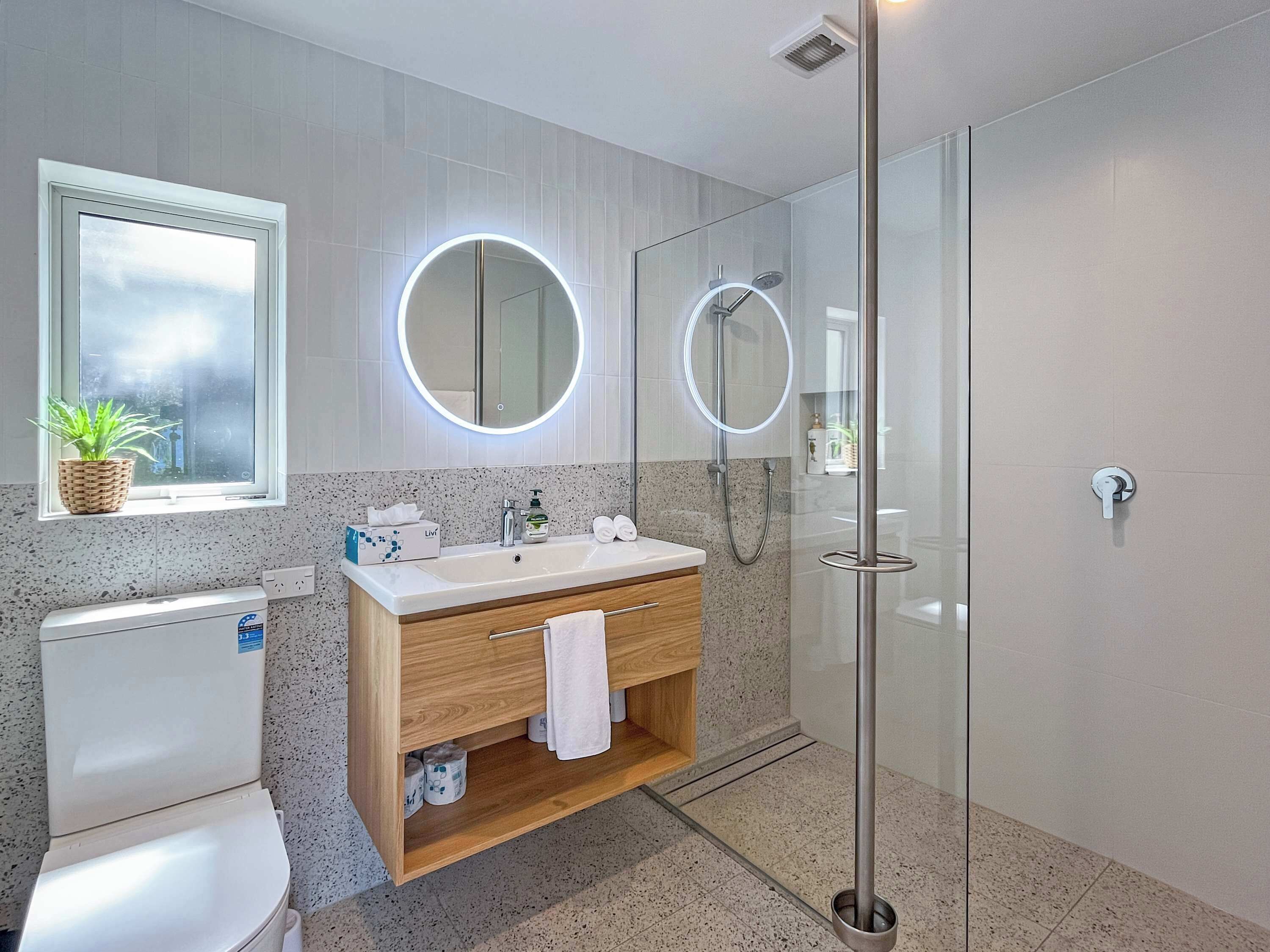Shower, hair dryer, towels