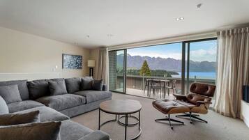 TV, fireplace, books