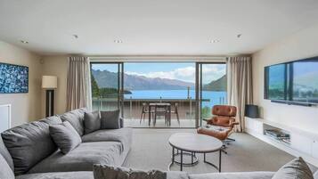 TV, fireplace, books