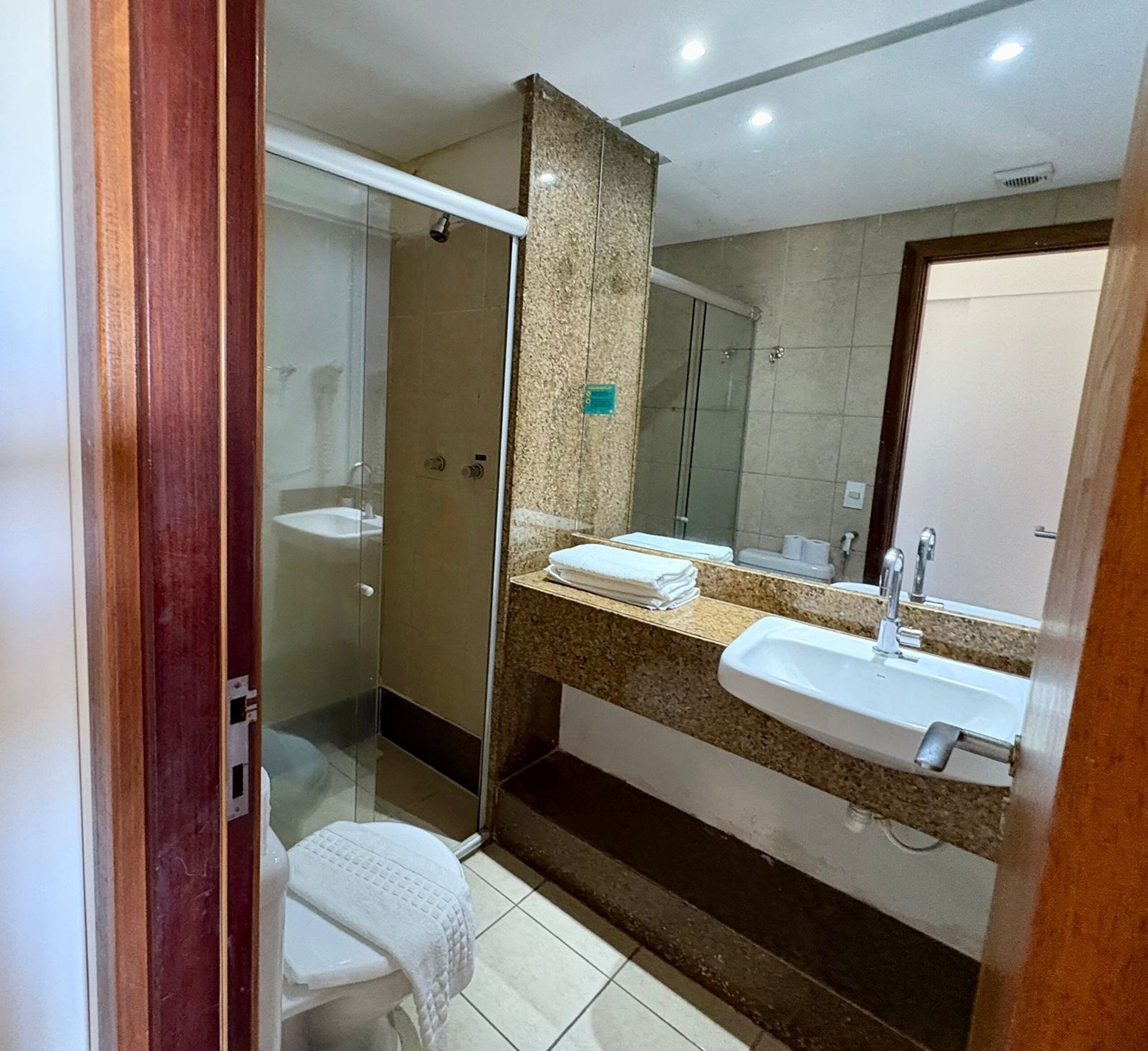 A modern bathroom with a glass shower enclosure, a sink with a mirror, and a toilet.