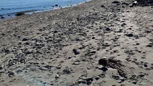 A rocky beach with clear blue water and a distant shoreline. - Water & Mountain Views: Escape to Whidbey Island! (Freeland)