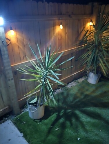 Charming 1-bedroom studio in enjoyable North Lauderdale with WiFi, AC