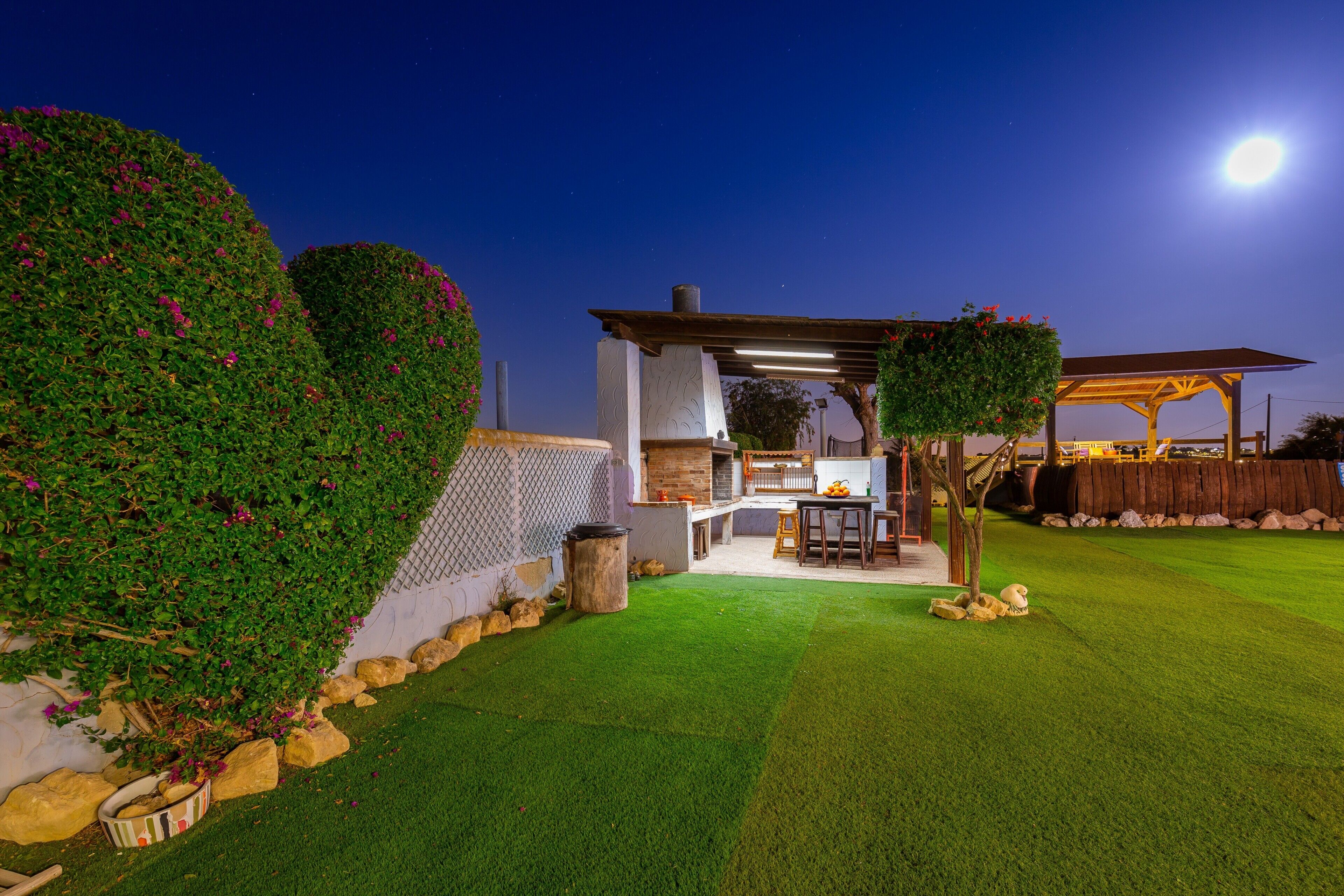 テラス / パティオ