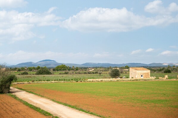 A rural landscape with a dirt road, green fields, and a stone building.