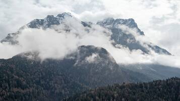 Berglandschap met dicht bos en besneeuwde toppen.