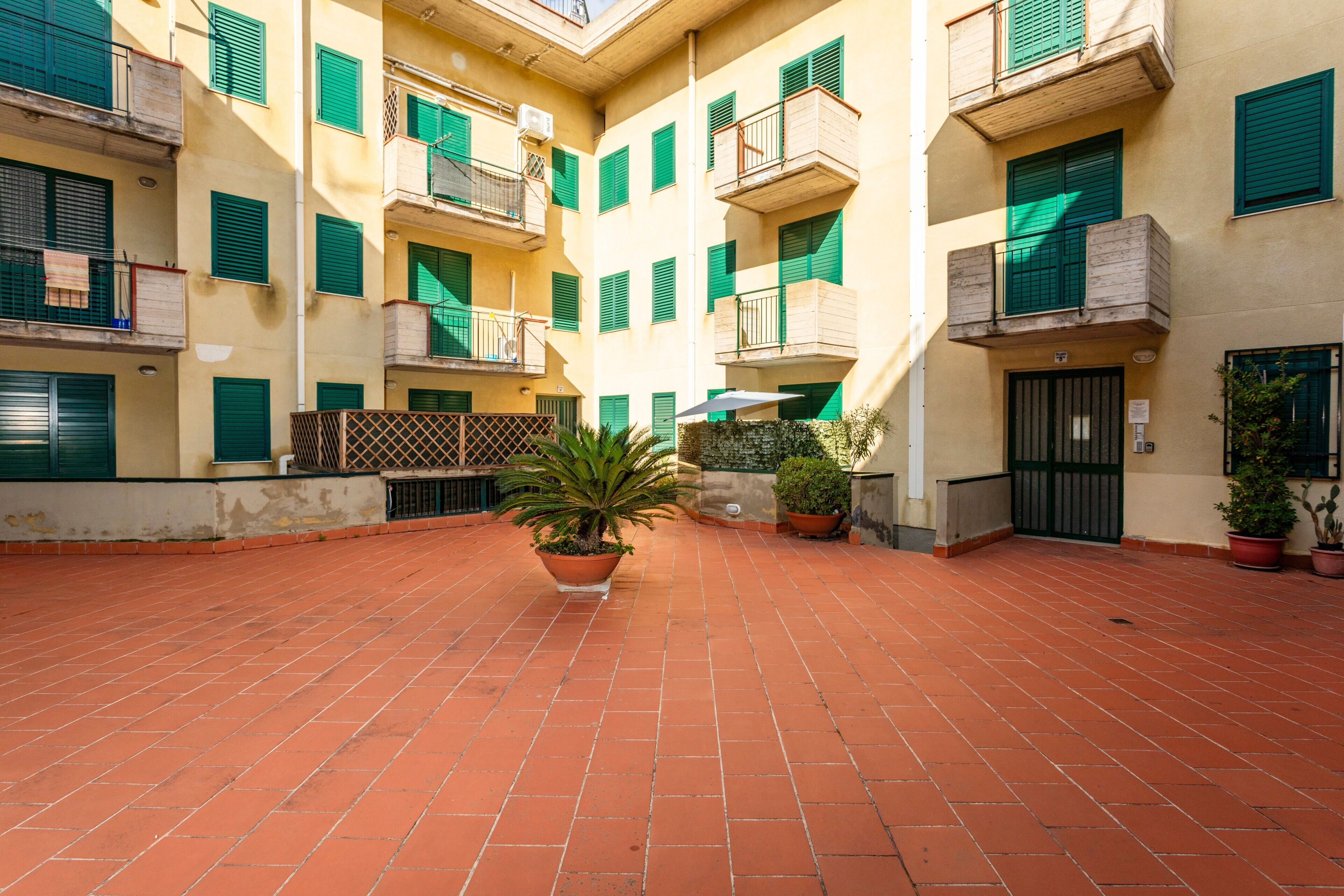 Cortile con piastrelle in terracotta, piante in vaso e una palma al centro.