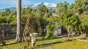 Ein Garten mit einer Palme, einem Steinbrunnen und einem Berg im Hintergrund.