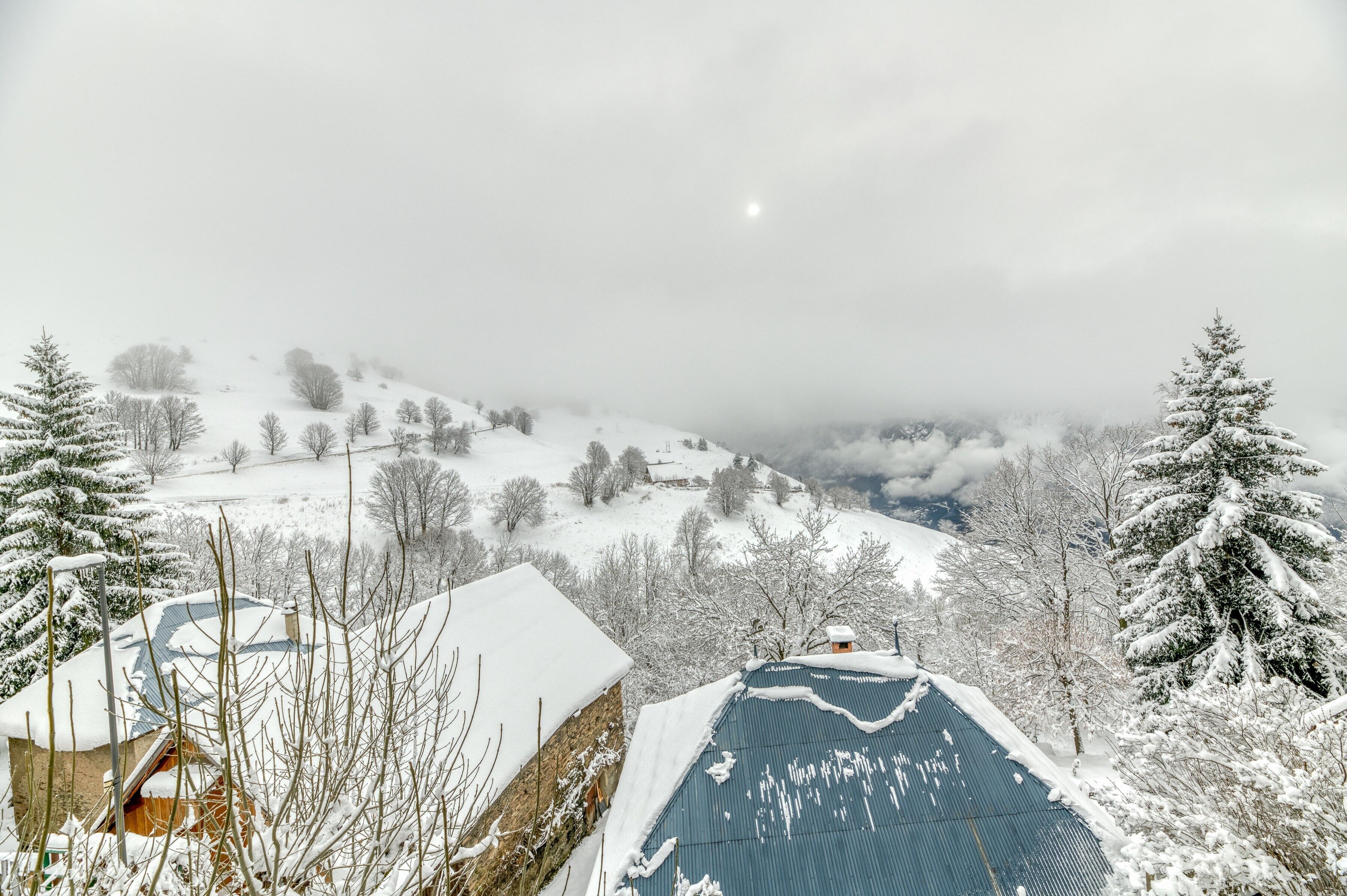 Schneebedeckte Landschaft mit Häusern und Bäumen, ein klarer Himmel und ein sichtbarer Mond.
