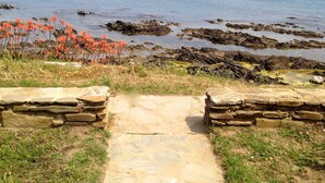 A stone pathway leading to a coastal area with rocky shores and orange flowers. - HOUSE ON THE SEA, WATERFRONT, BREATHTAKING VIEW WITH GARDEN AND PRIVATE BEACH (STINTINO)