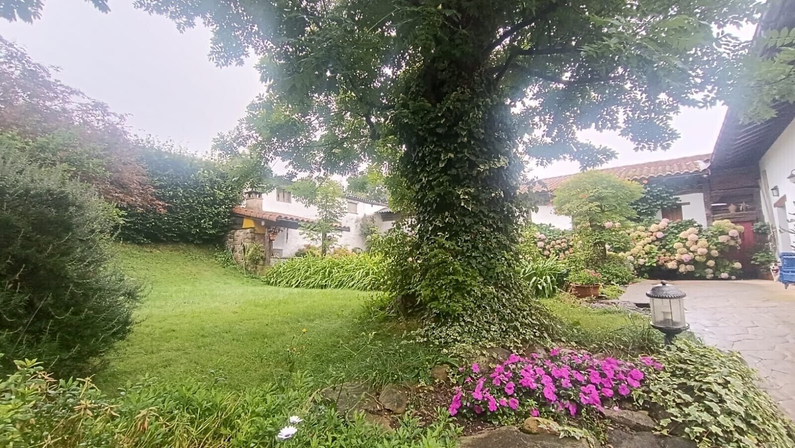 A garden with a large tree, a lawn, and various plants and flowers.
