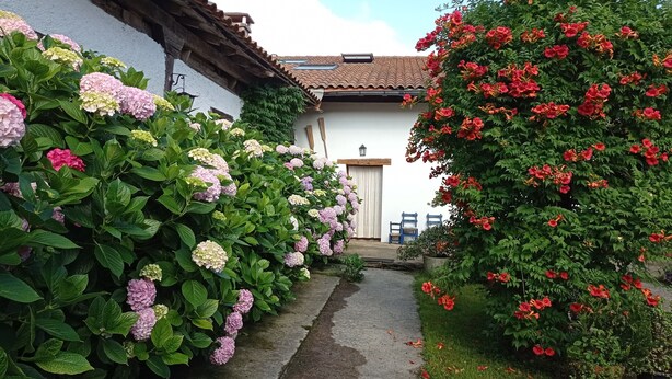 A narrow pathway leading to a building with a tiled roof and a white door.
