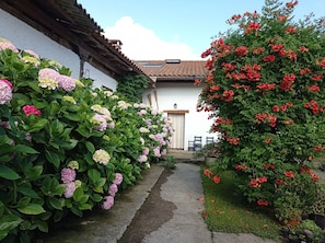 A narrow pathway leading to a building with a tiled roof and a white door.