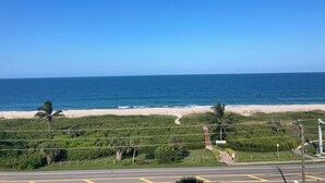 Une vue côtière avec une plage, des palmiers et une route bordée de lignes jaunes.