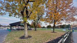 A park with picnic tables, a covered pavilion, and a fenced baseball field.