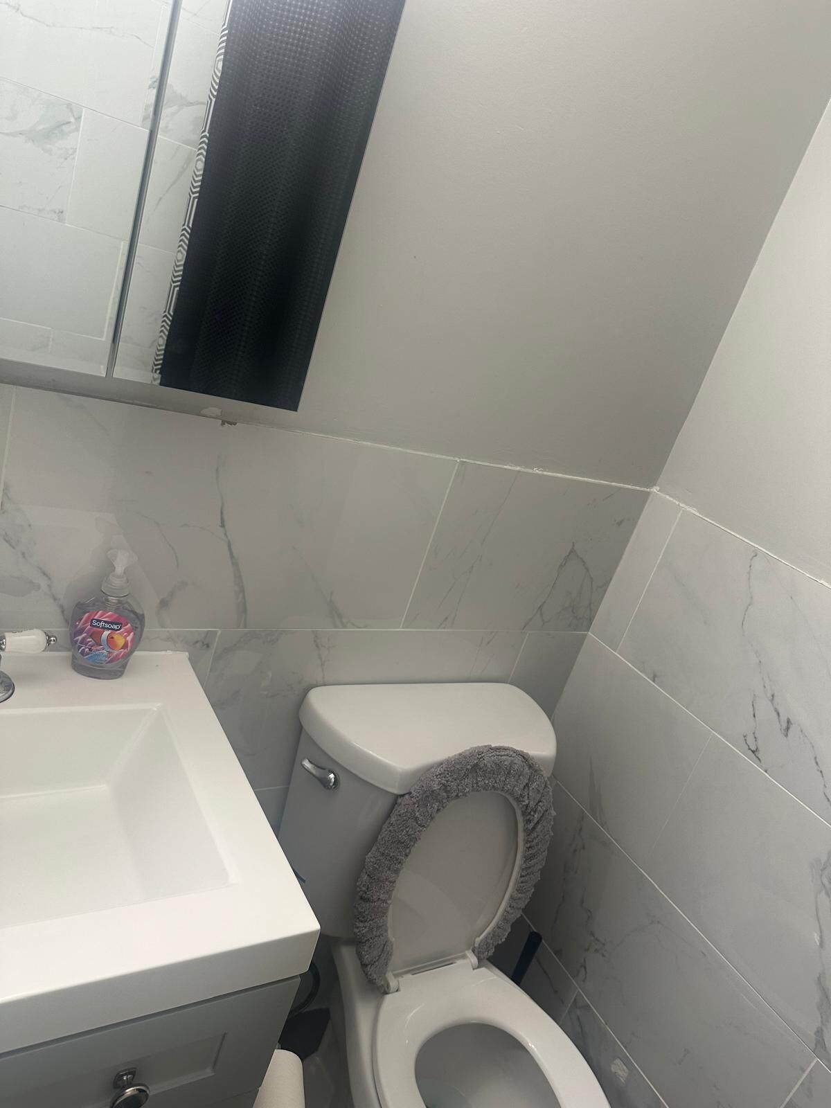 Une salle de bain avec des toilettes, un lavabo et un miroir.