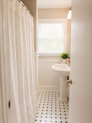 Shower, towels, toilet paper