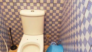 Shower, towels, soap, toilet paper