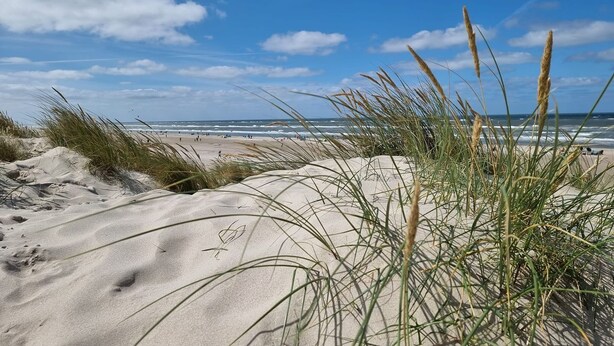 A beach with sand dunes and grass in the foreground, leading to the ocean. - Apartment Nordseeperle - Comfortable apartment Nordseeperle with garden, (Dornum)