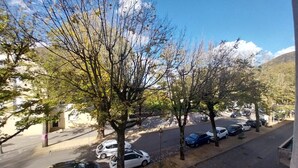 Straatbeeld met geparkeerde auto's, bomen en een gebouw op de achtergrond.