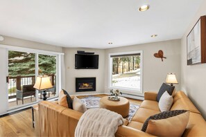 TV, fireplace