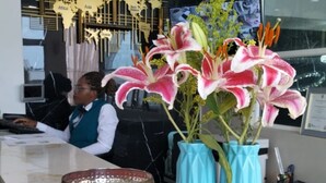 A reception desk with a marble top, two blue vases with flowers, and a golden bowl. - ArisSha Boutique Hotel (Cali)