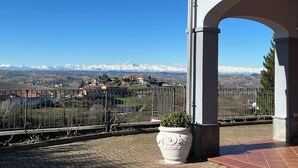 Un balcó amb vista a muntanyes nevades, una planta en test i una tanca de metall.