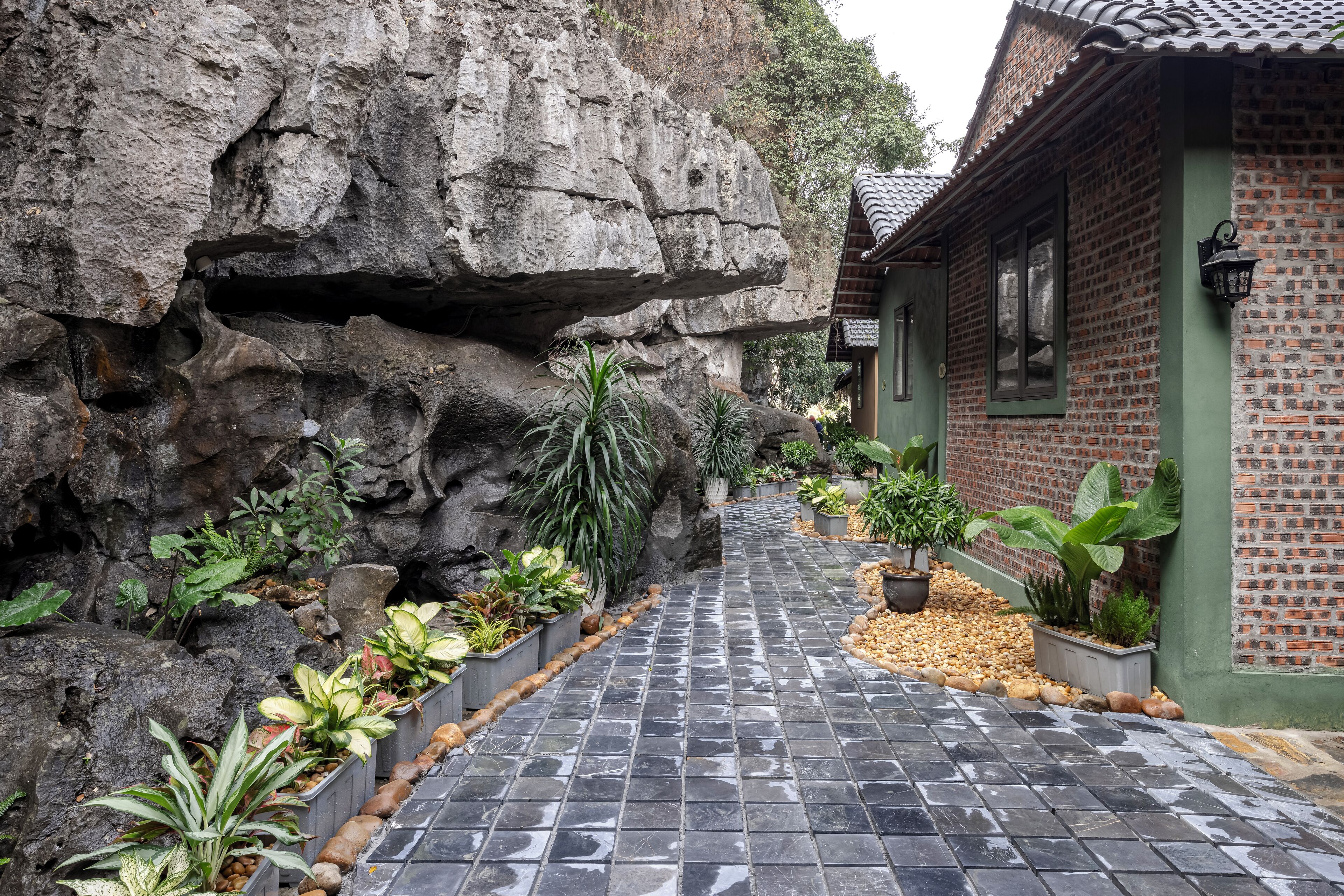 A pathway leading to a brick building with a tiled roof, surrounded by various potted plants and a rocky cliff.