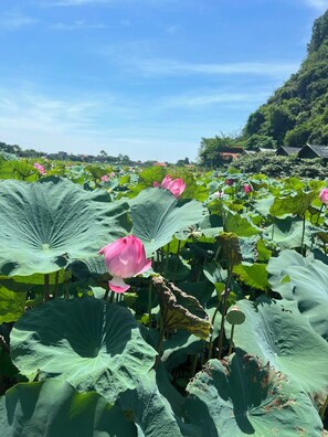 ด้านหน้าที่พัก