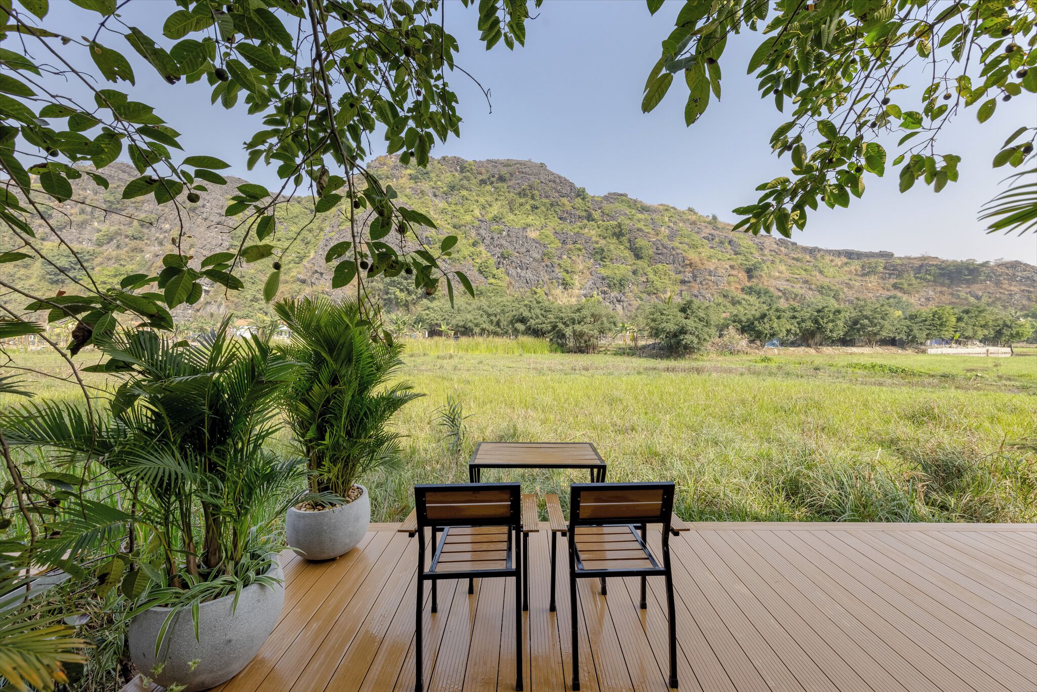 A wooden deck with two chairs and a table, surrounded by potted plants, overlooking a lush green field and a mountain.