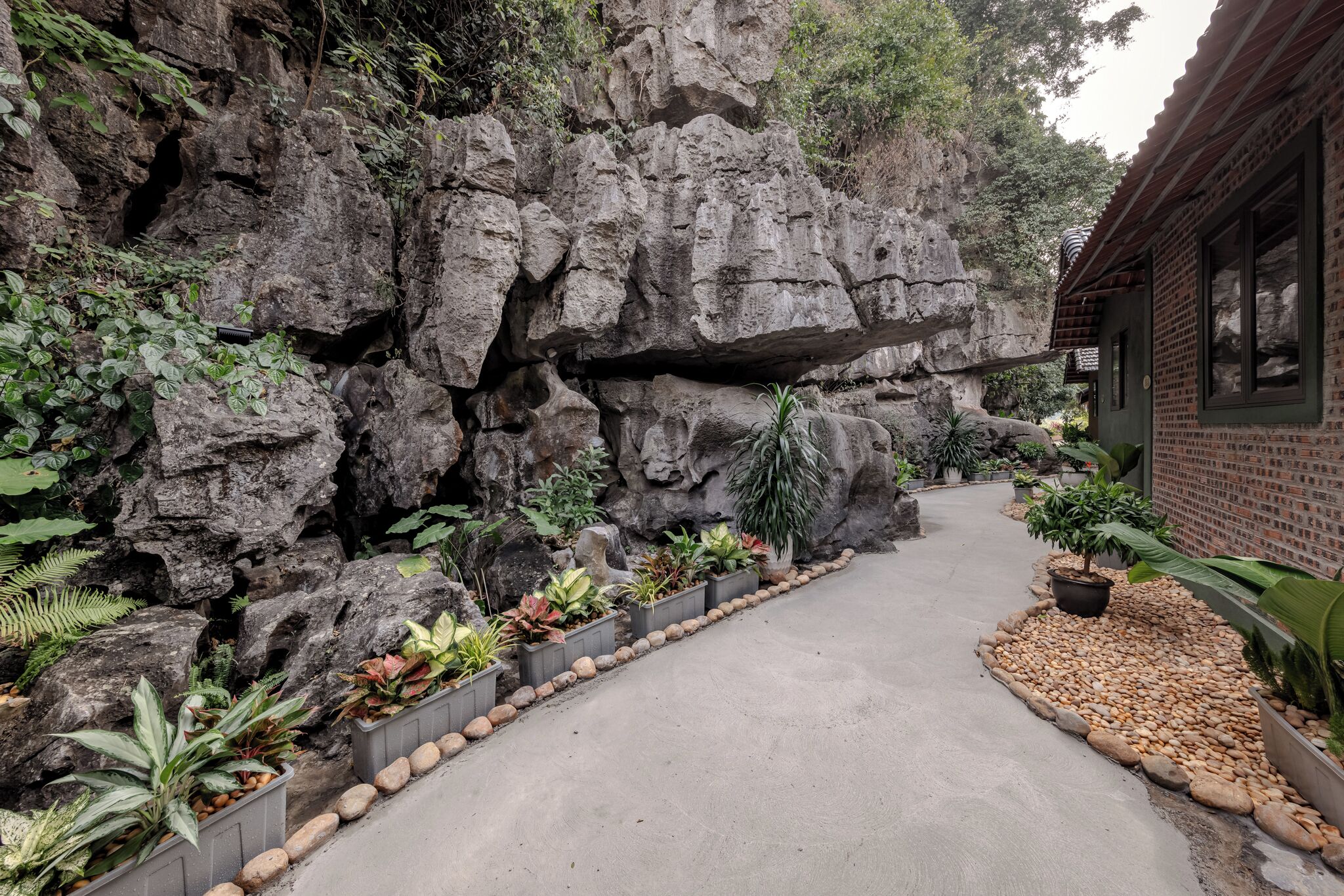 Habitación doble Deluxe | Vista a la montaña