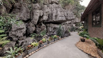 Deluxe Double Room | Mountain view